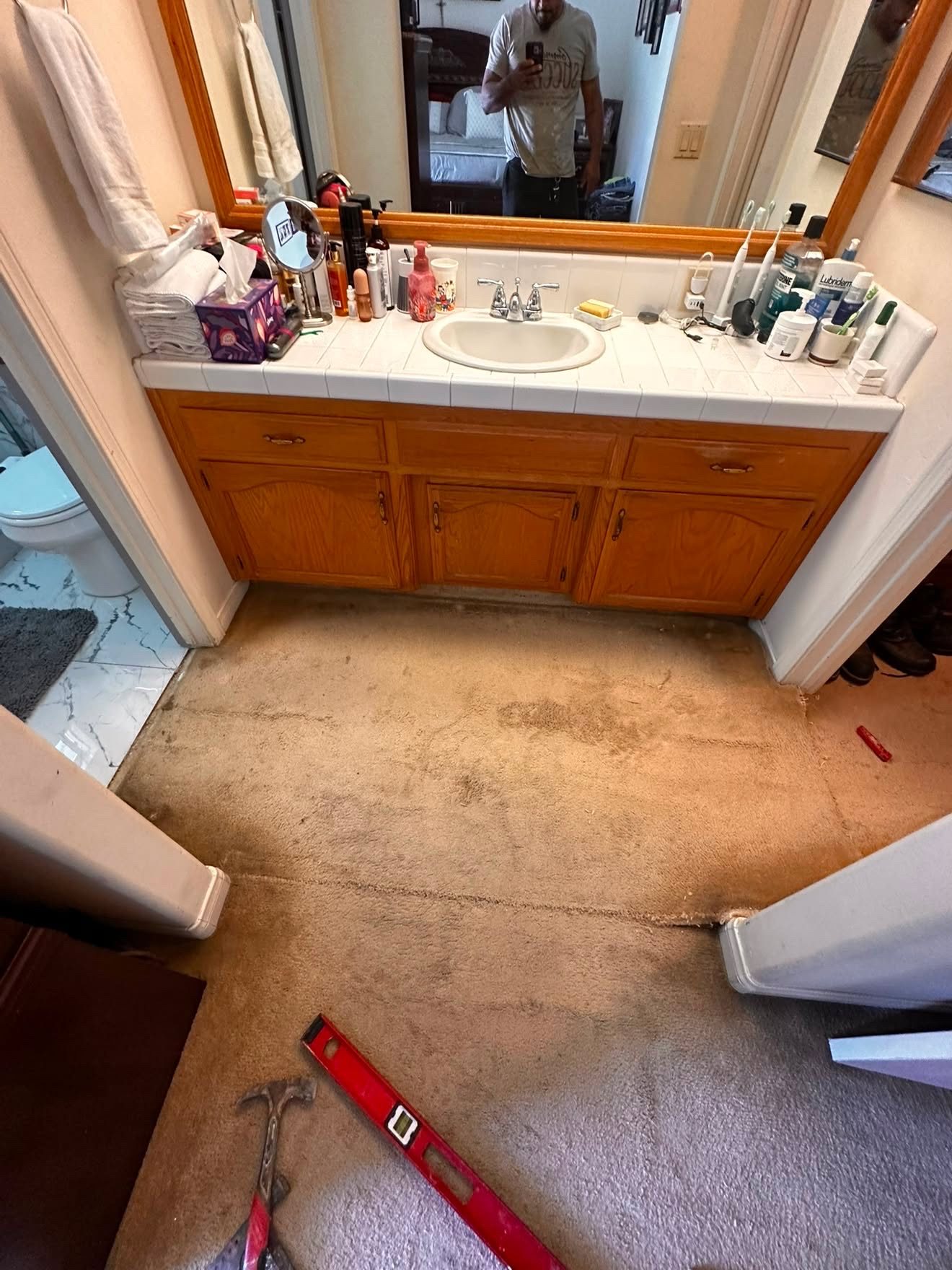 Bathroom entry with worn carpet flooring before renovation